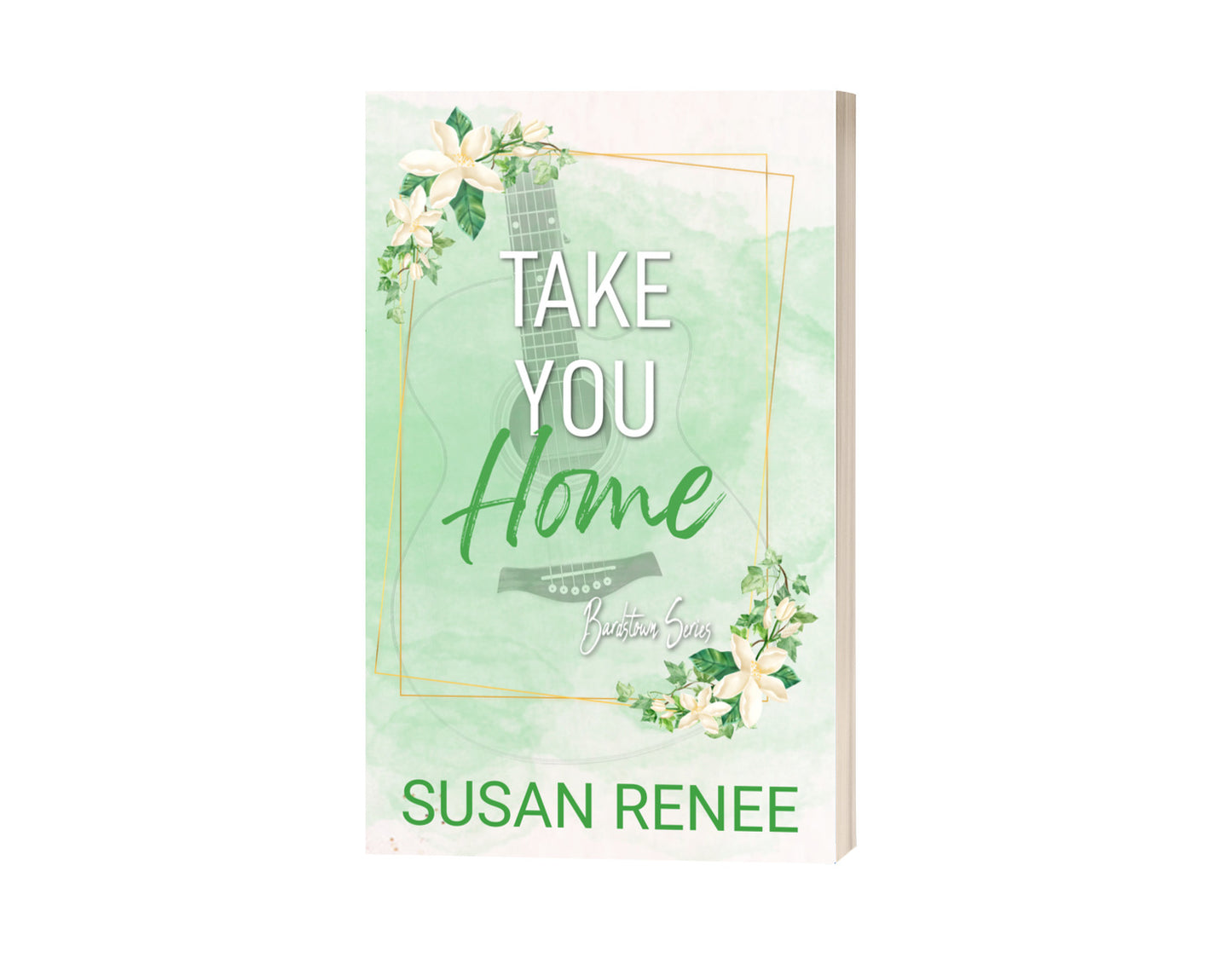 Take You Home Specia Edition Paperback