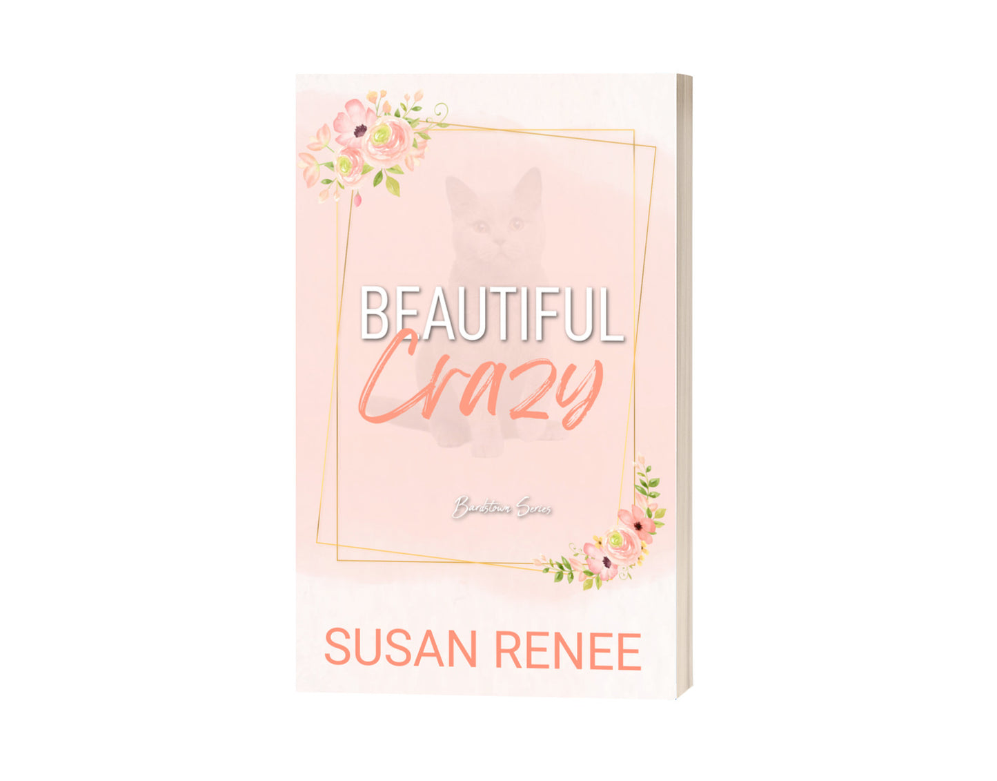 Beautiful Crazy Special Edition Paperback
